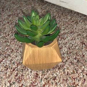 Fake succulent